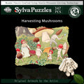 Harvesting Mushrooms