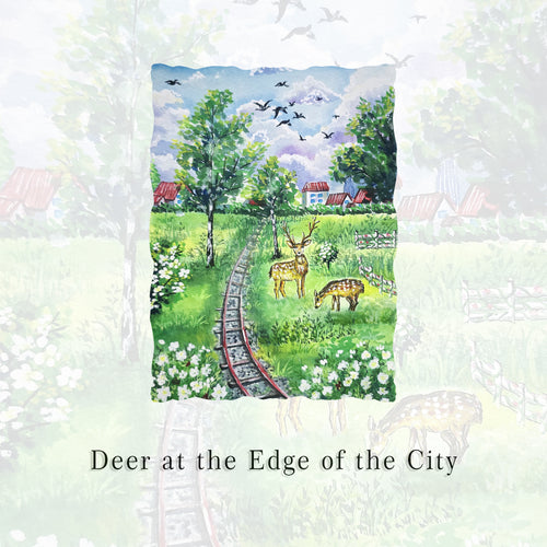 Deer at the Edge of the City