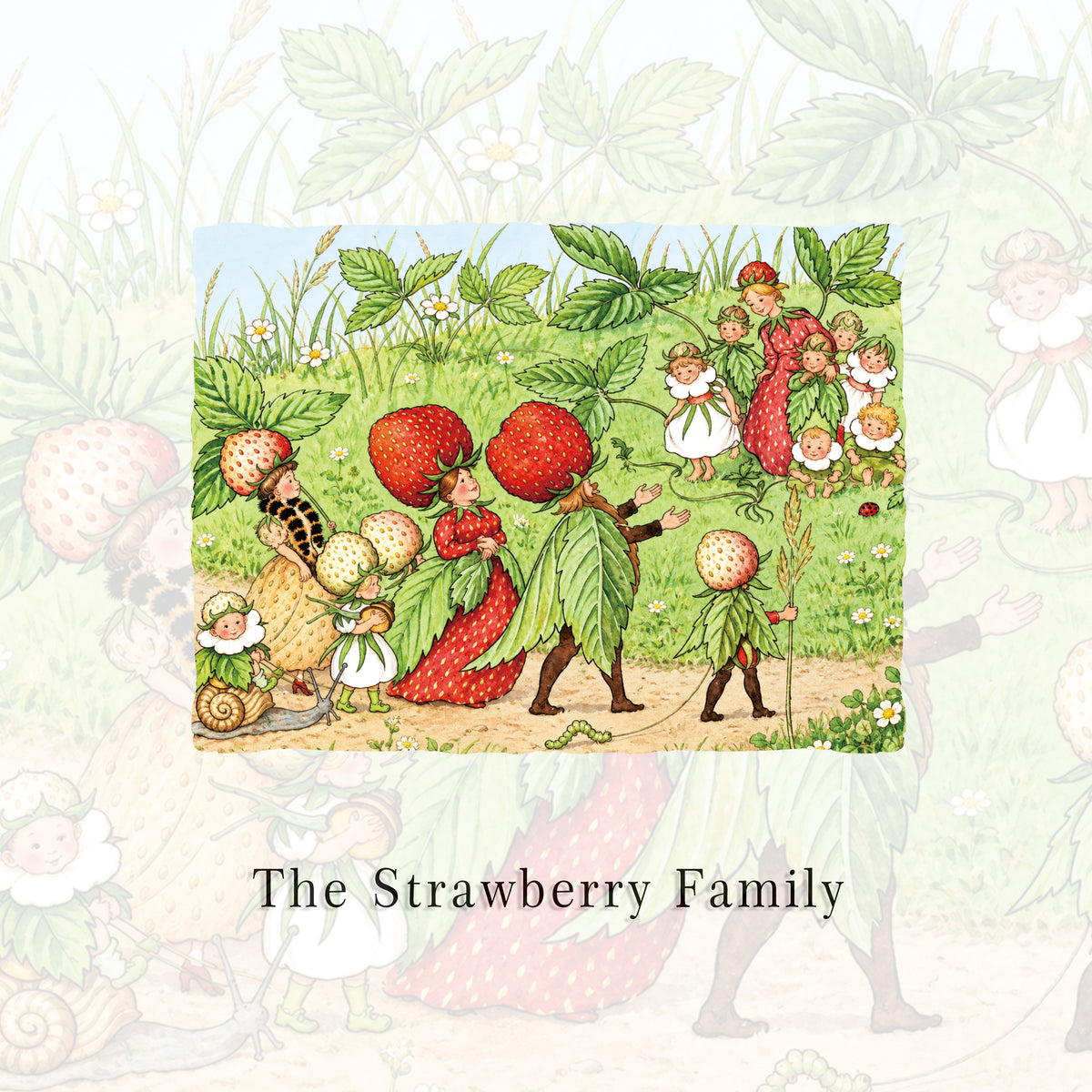 The Strawberry Family