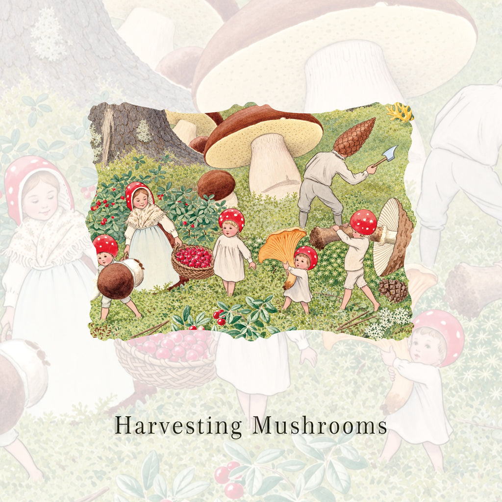 Harvesting Mushrooms