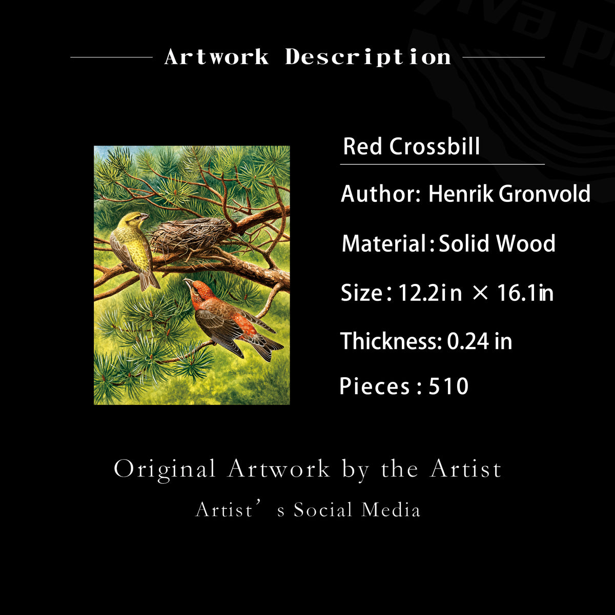 Red Crossbill