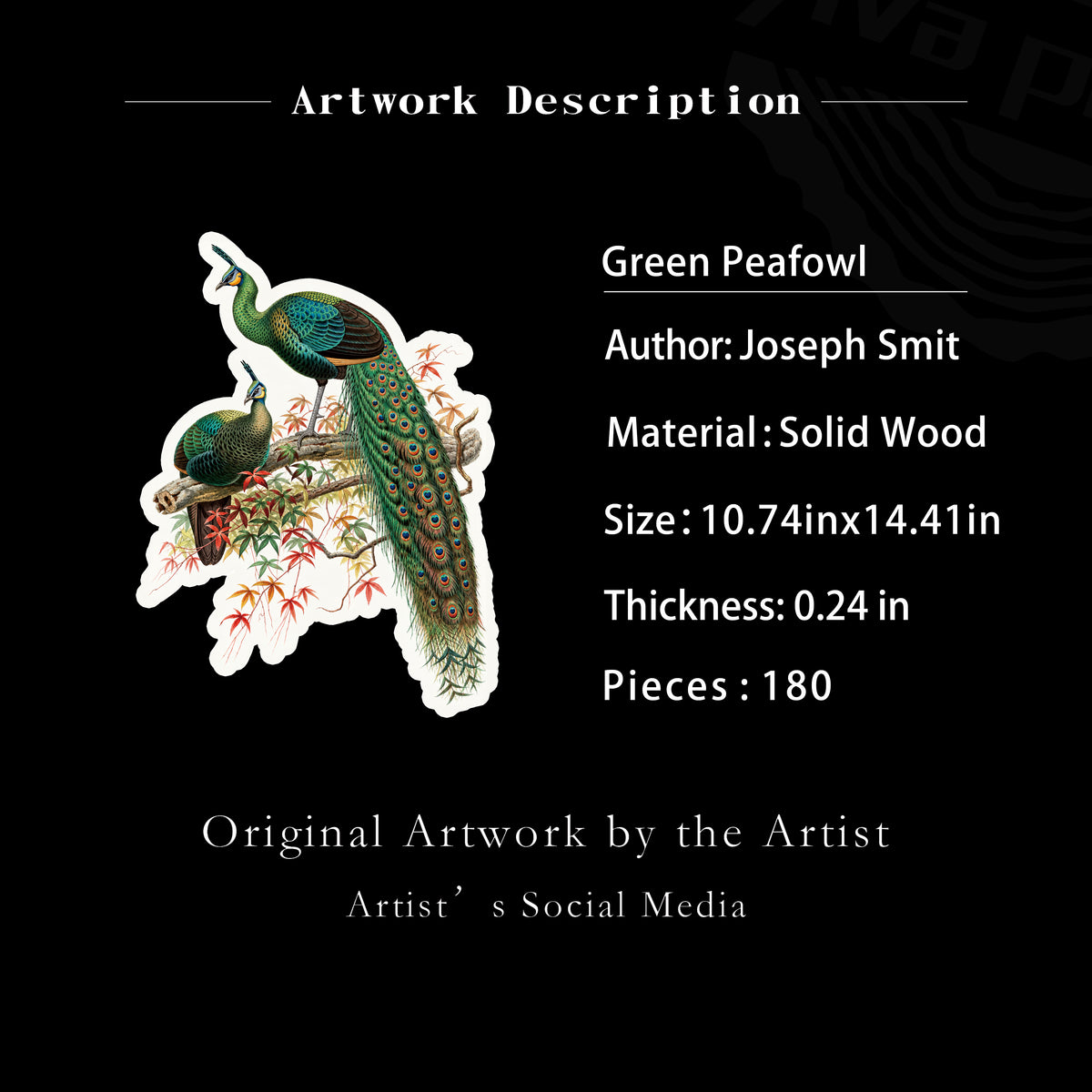 Green Peafowl