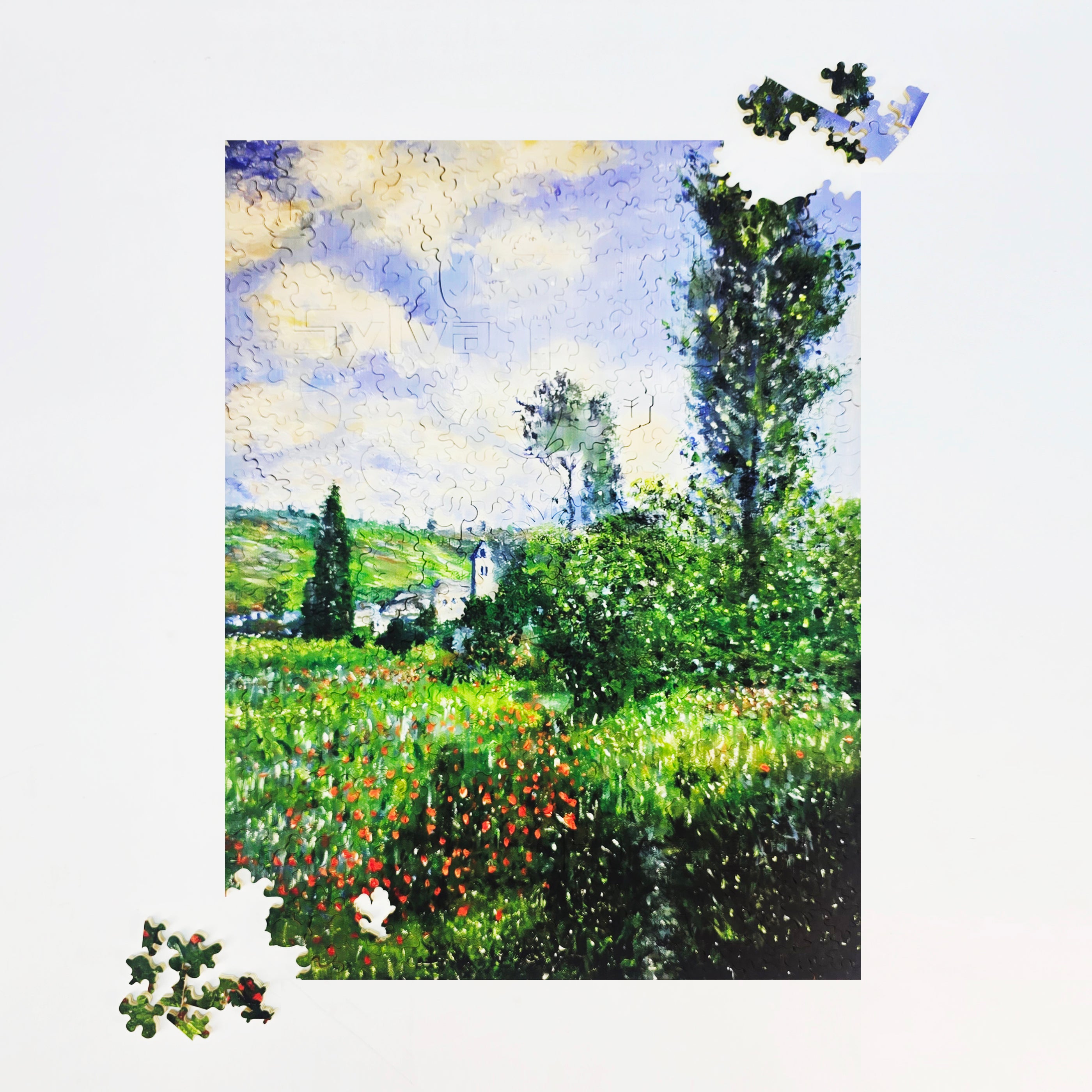 A Quiet Summer Garden