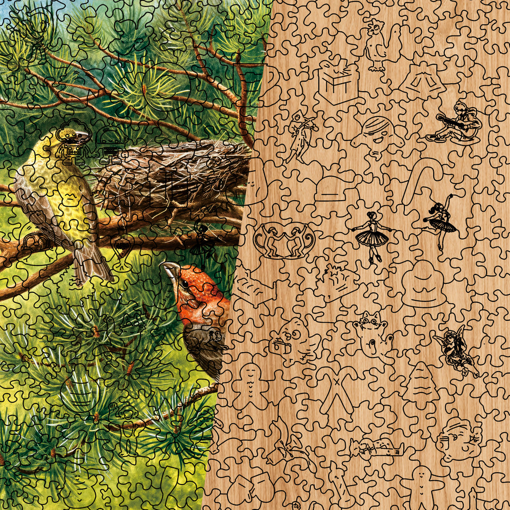 Red Crossbill
