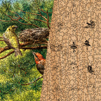 Red Crossbill