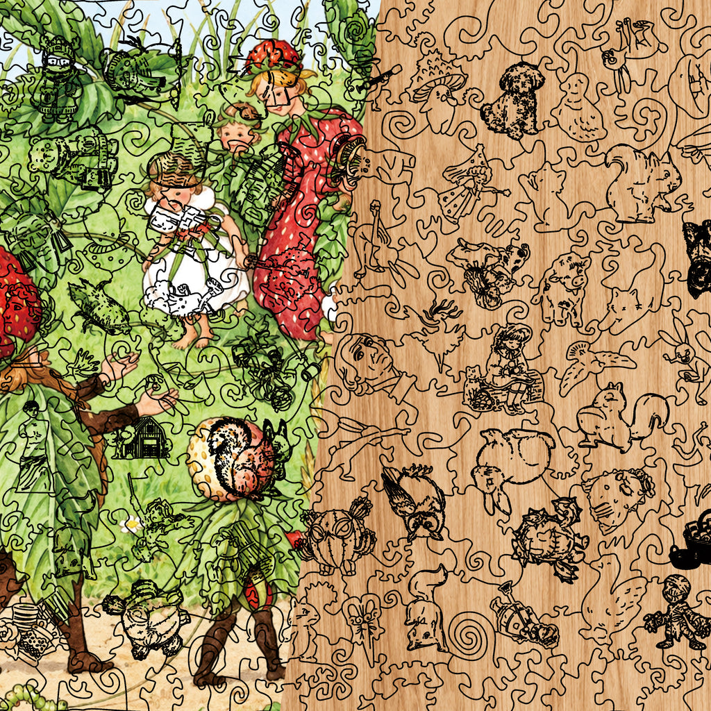 The Strawberry Family