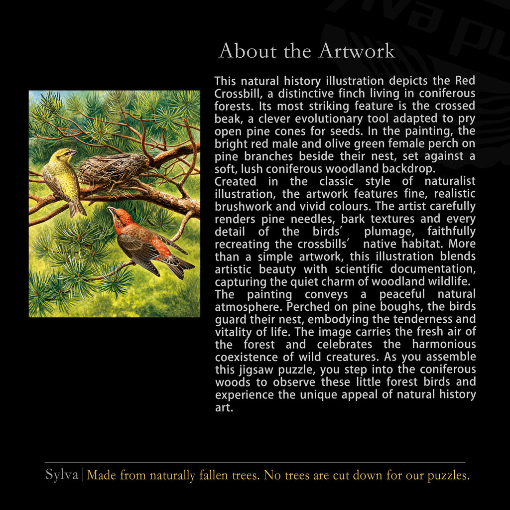 Red Crossbill