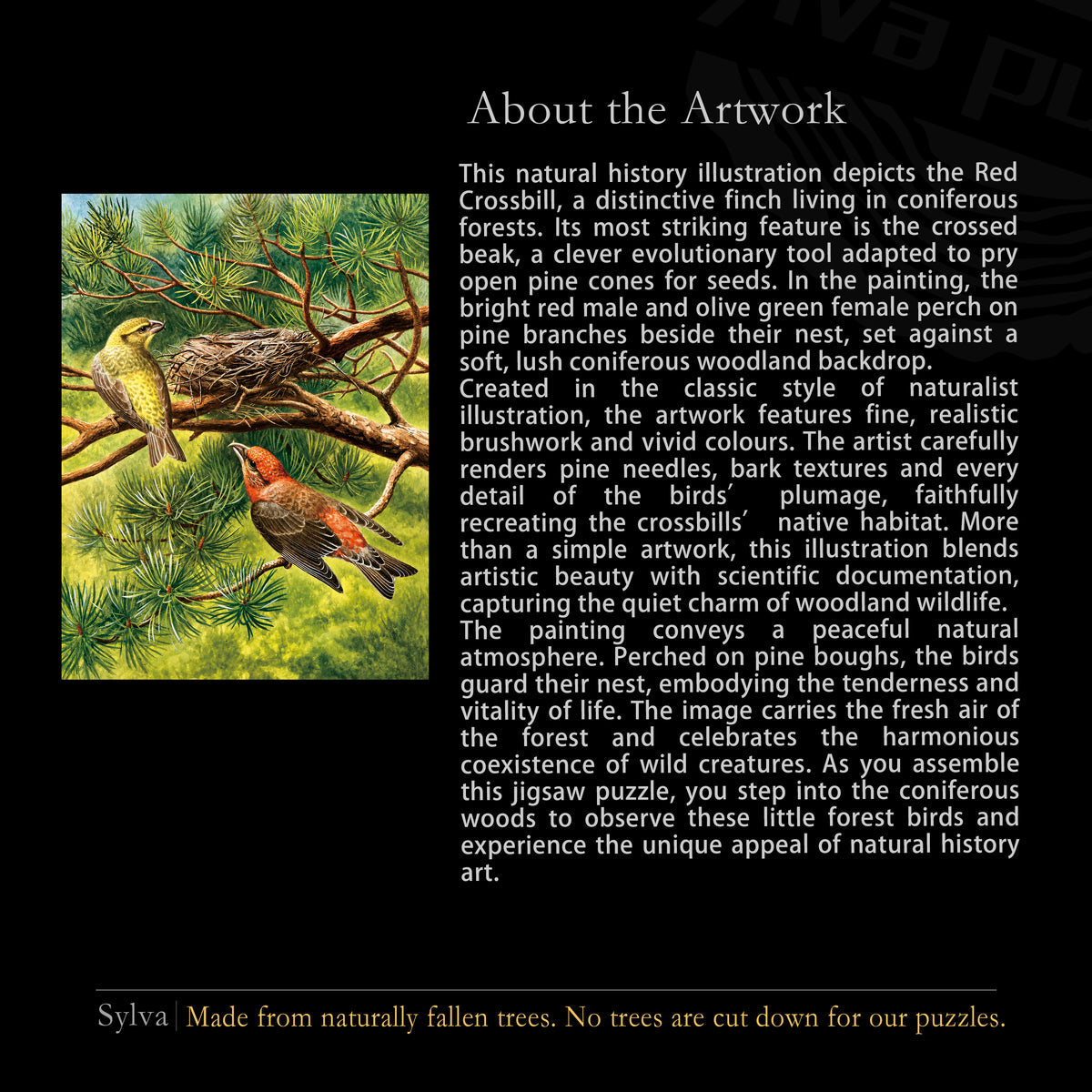 Red Crossbill