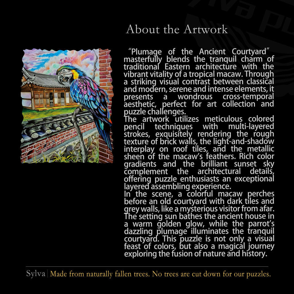 Courtyard & Colorful Plumes