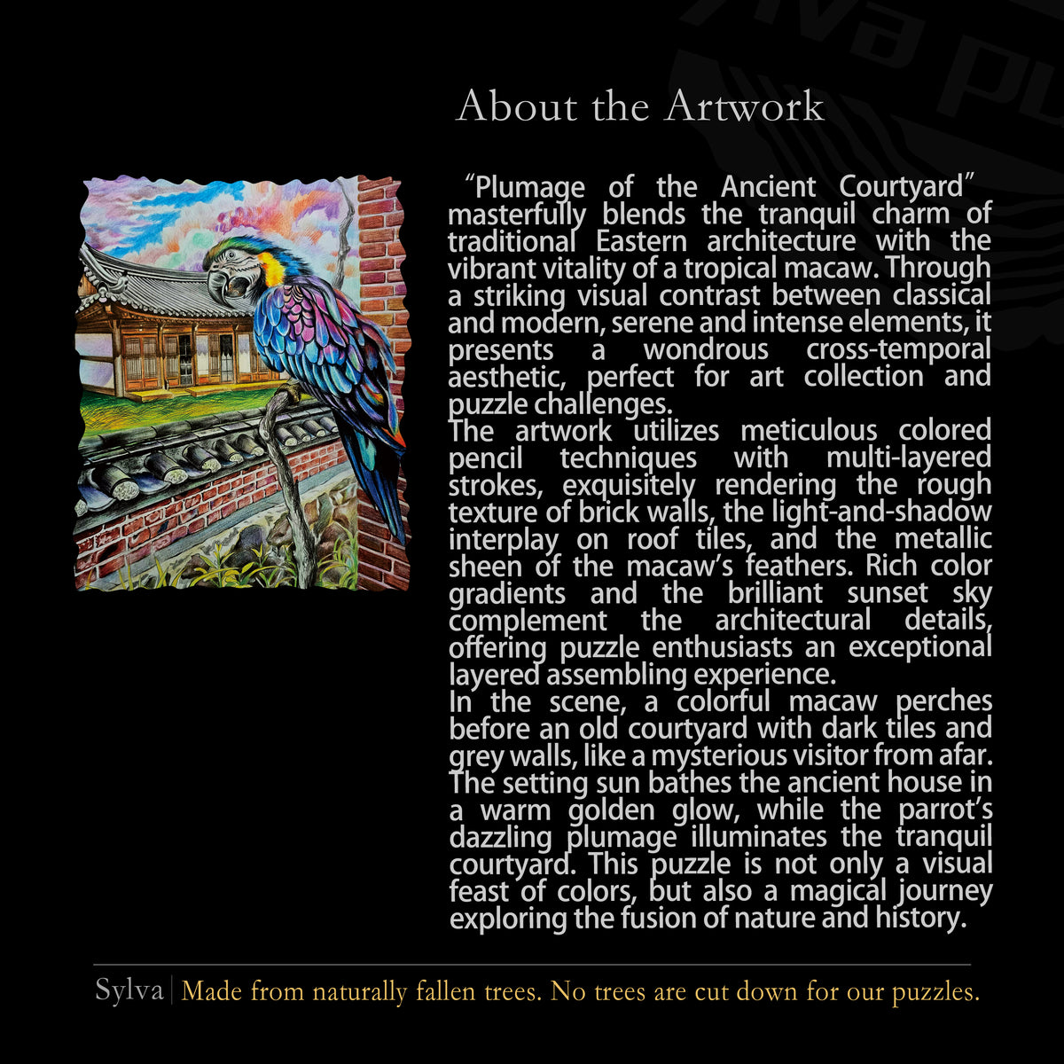 Courtyard & Colorful Plumes