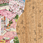 Sea of Cherry Blossoms