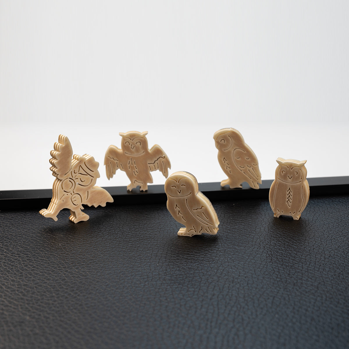 Enchanted Forest Puzzles