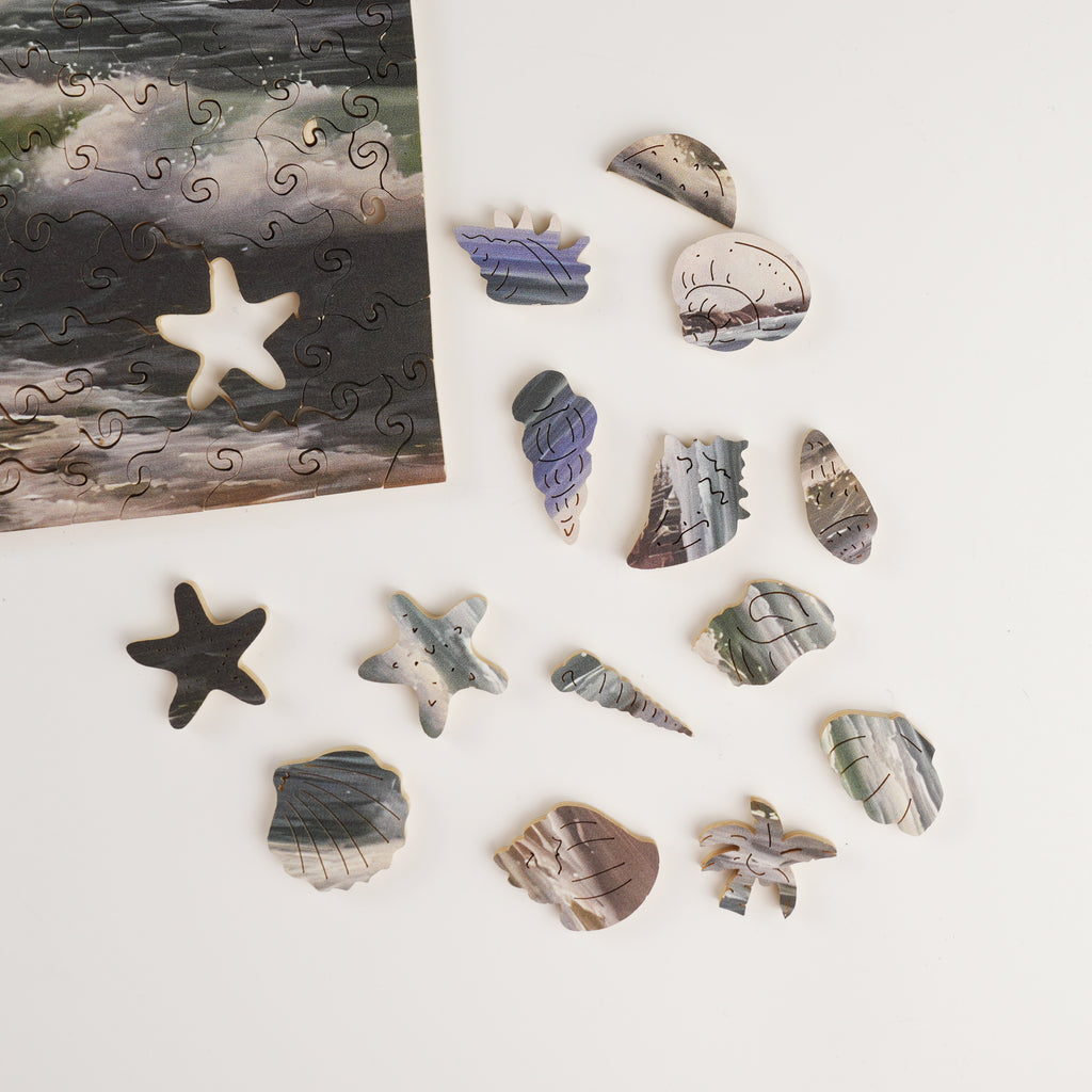 Echoes of the Shore