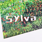 A Quiet Summer Garden